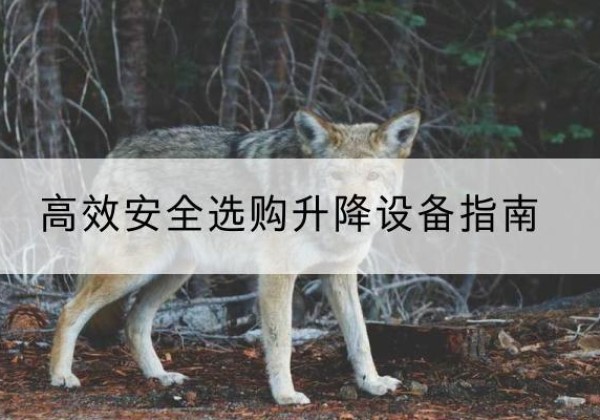 松潘升降货梯厂家推荐-*安全选购升降设备指南