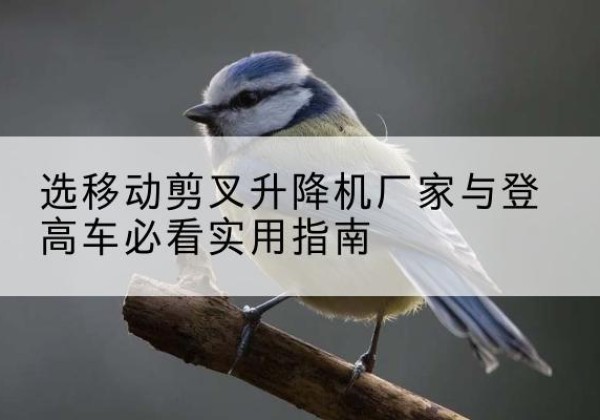 松潘电动升降机厂家-选移动剪叉升降机厂家与登高车必看实用指南
