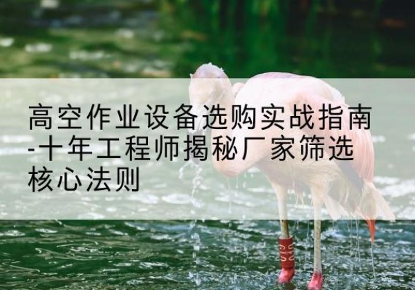 松潘剪叉式升降机厂家-高空作业设备选购实战指南-十年工程师揭秘厂家筛选核心法则